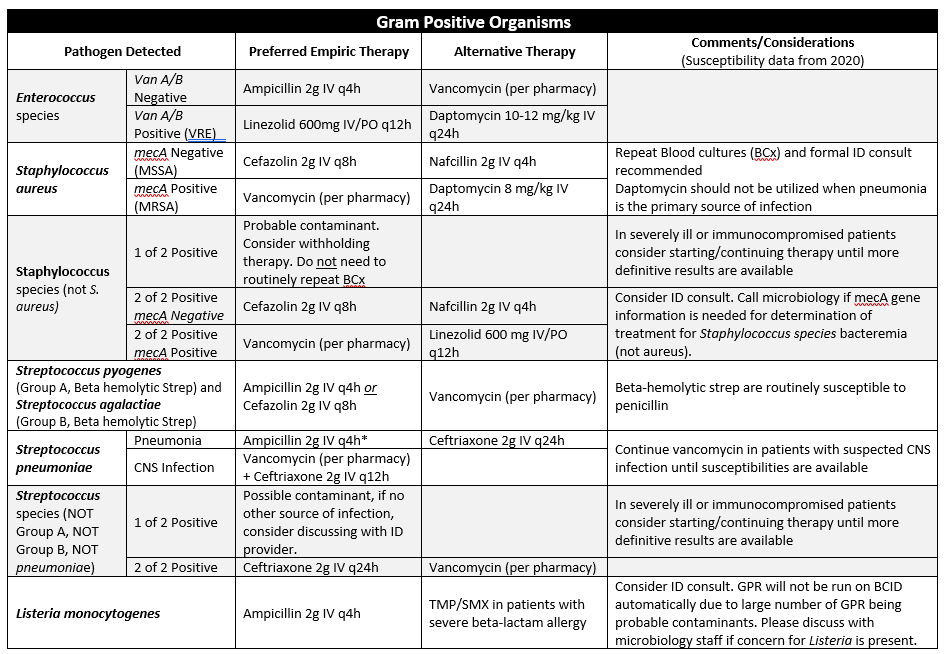 BPP Gram Positive.PNG