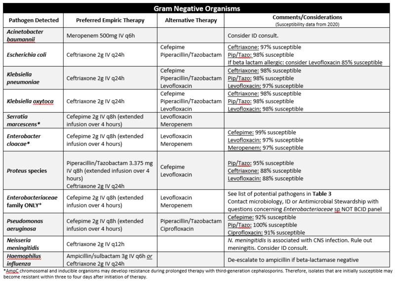 File:BPP Gram Negative.PNG