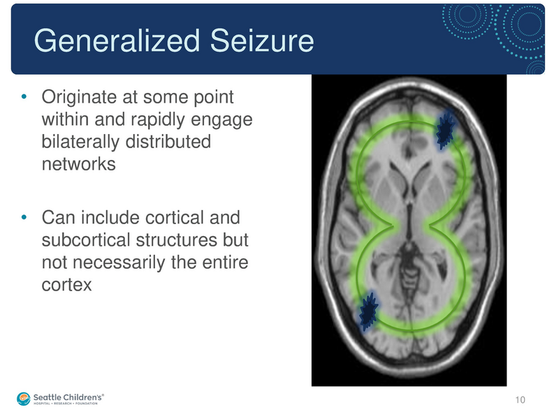 File:Seizure -4-30-2019.pdf