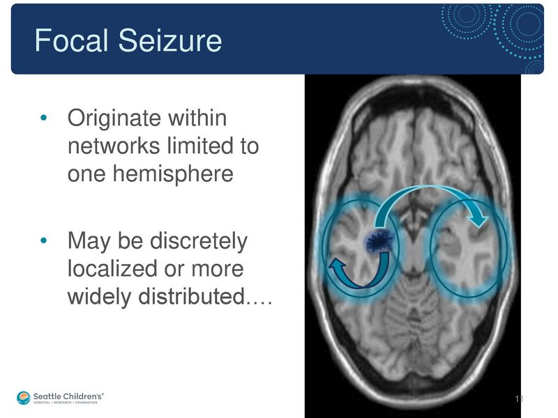 File:Seizure -4-30-2019.pdf