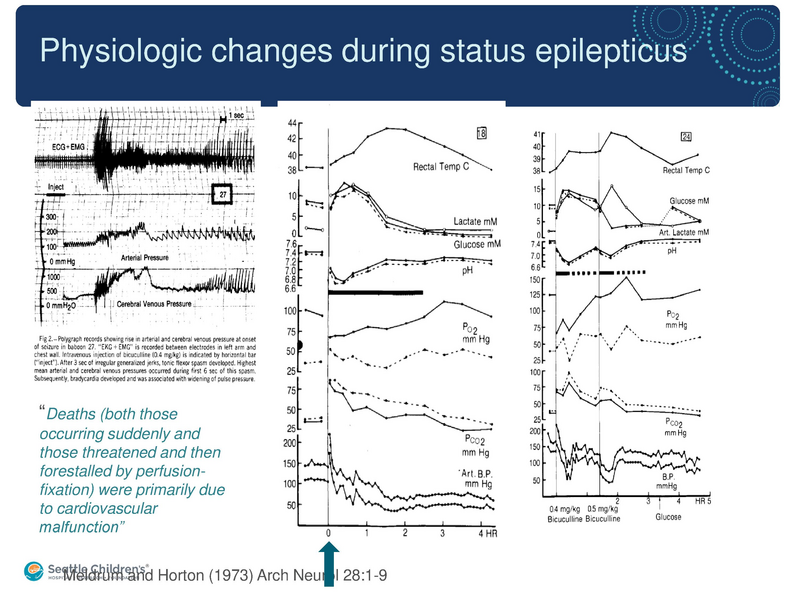 File:Seizure -4-30-2019.pdf