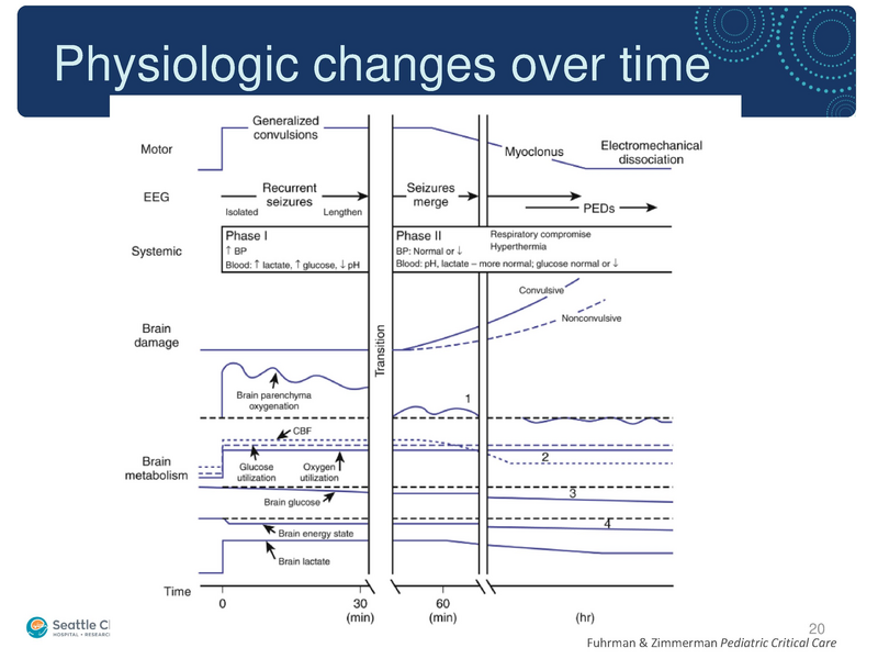 File:Seizure -4-30-2019.pdf