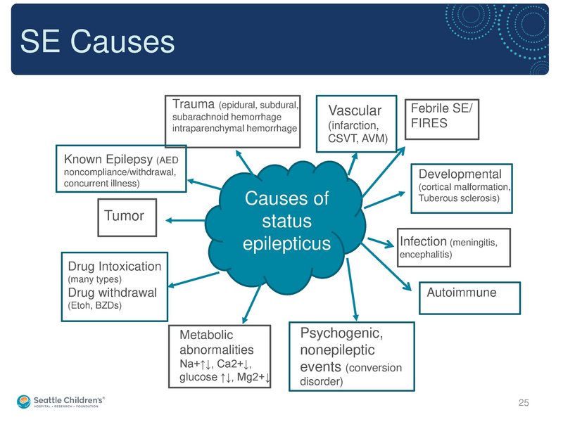 File:Seizure -4-30-2019.pdf