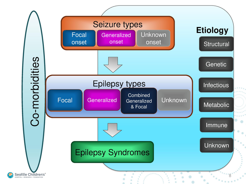 File:Seizure -4-30-2019.pdf