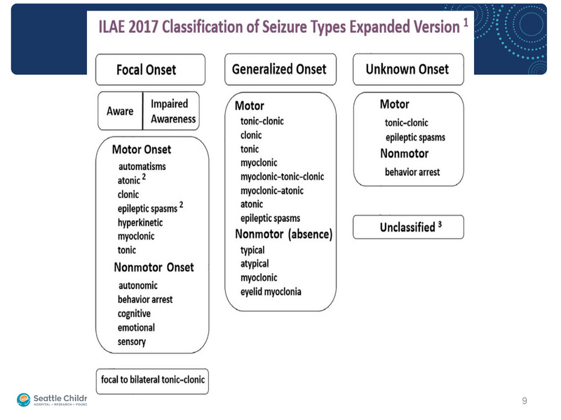 File:Seizure -4-30-2019.pdf