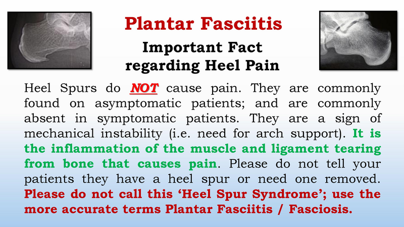File:Podiatry Specialty Clinic.pdf