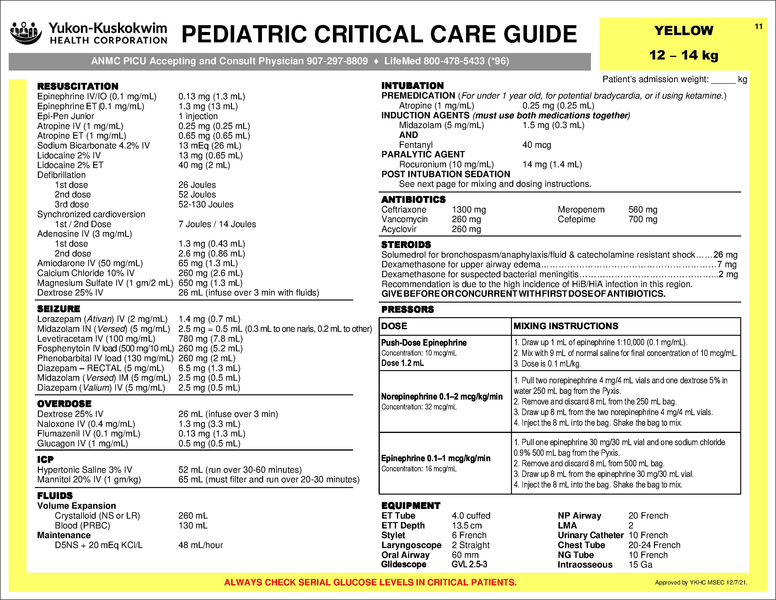 File:Pediatric critical care guide.pdf