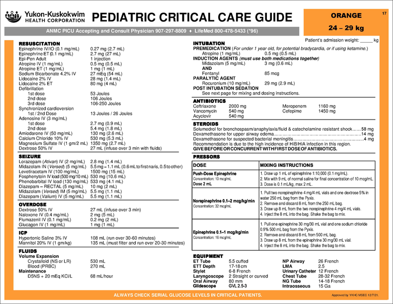 File:Pediatric critical care guide.pdf