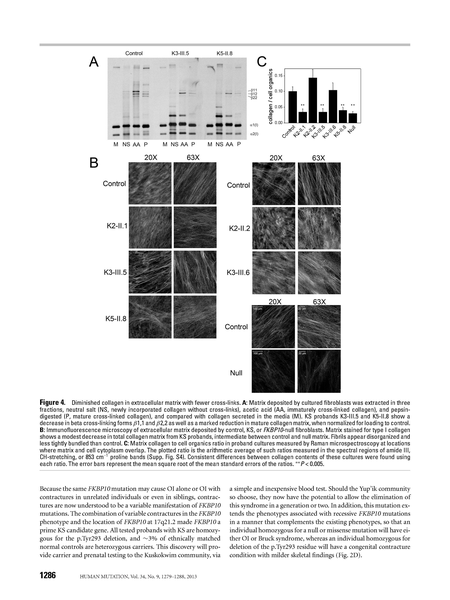 File:Kuskokwim-Syndrome.pdf