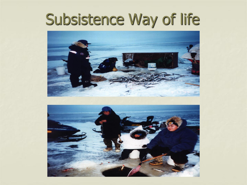 File:Pediatrics in western alaska.pdf