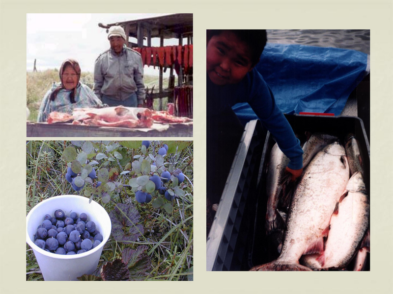 File:Pediatrics in western alaska.pdf