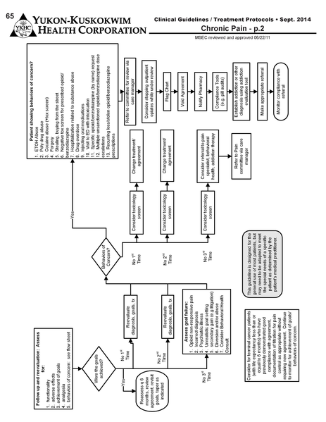 File:Chronic Pain.pdf