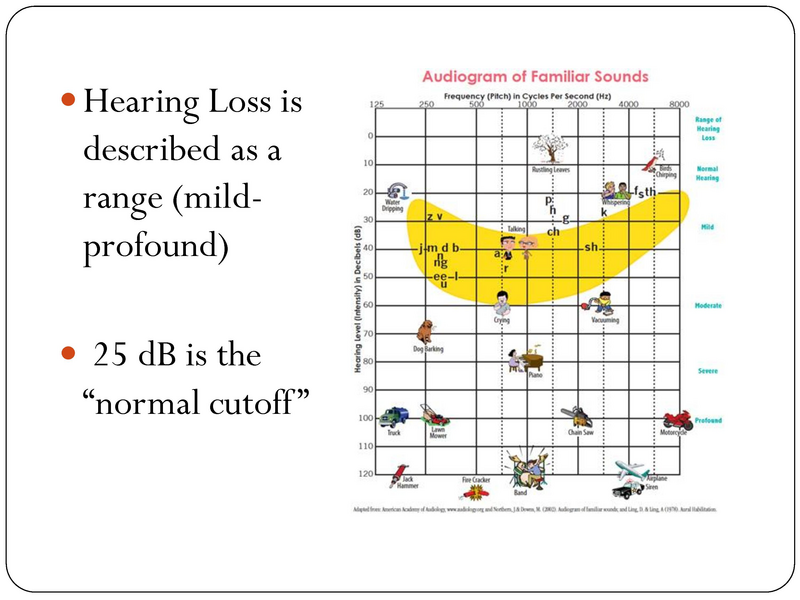 File:YK Audiology 101.pdf