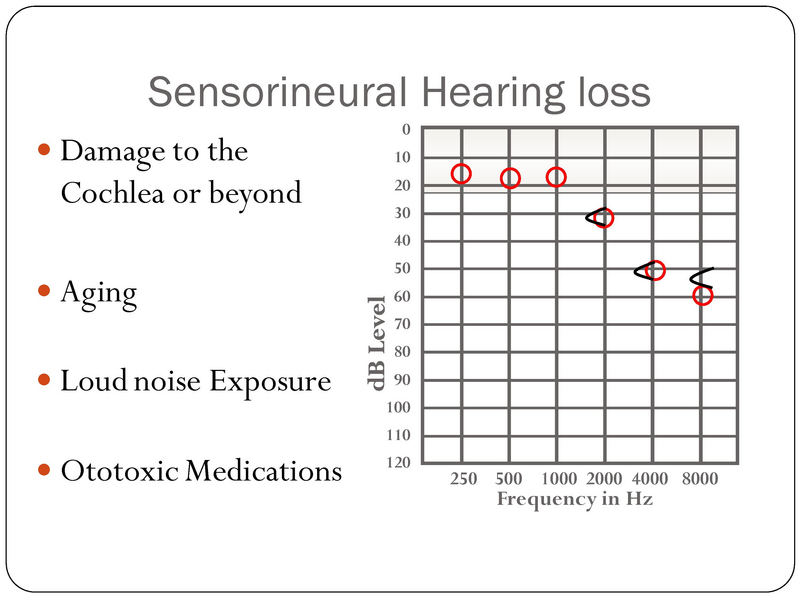 File:YK Audiology 101.pdf
