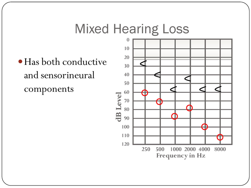 File:YK Audiology 101.pdf