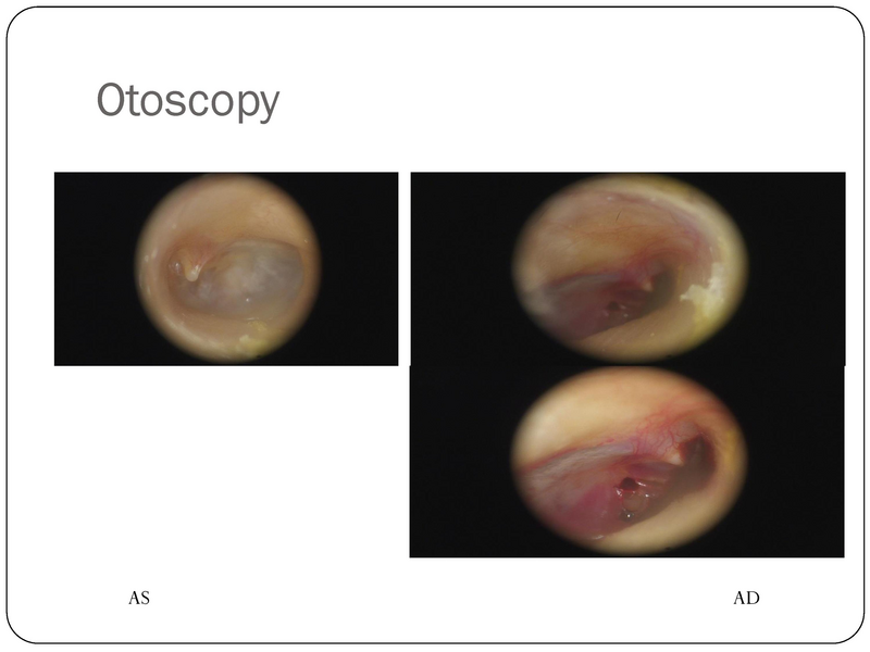 File:YK Audiology 101.pdf