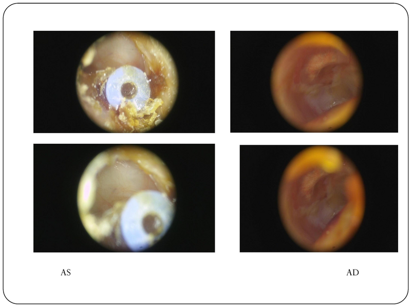 File:YK Audiology 101.pdf