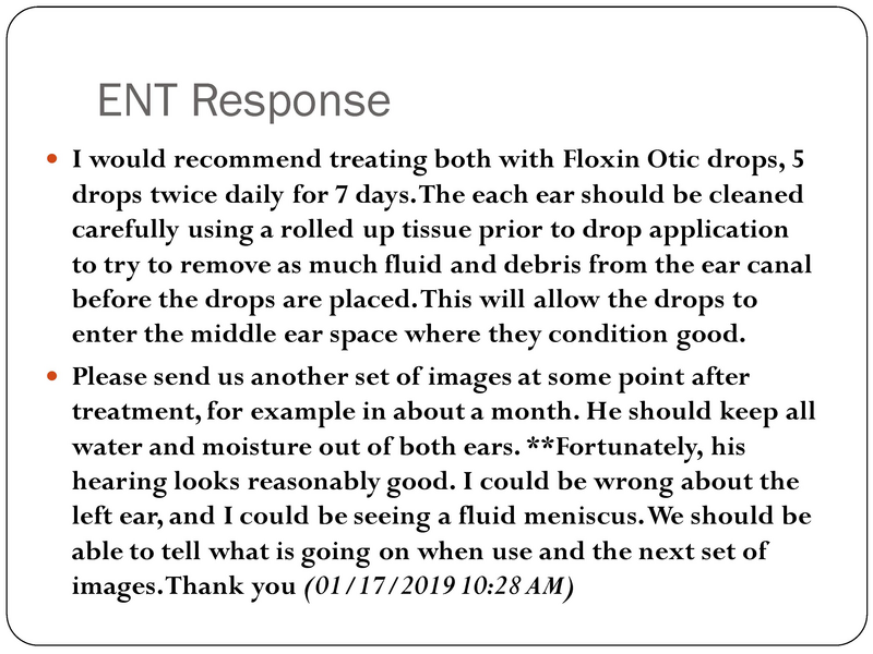 File:YK Audiology 101.pdf