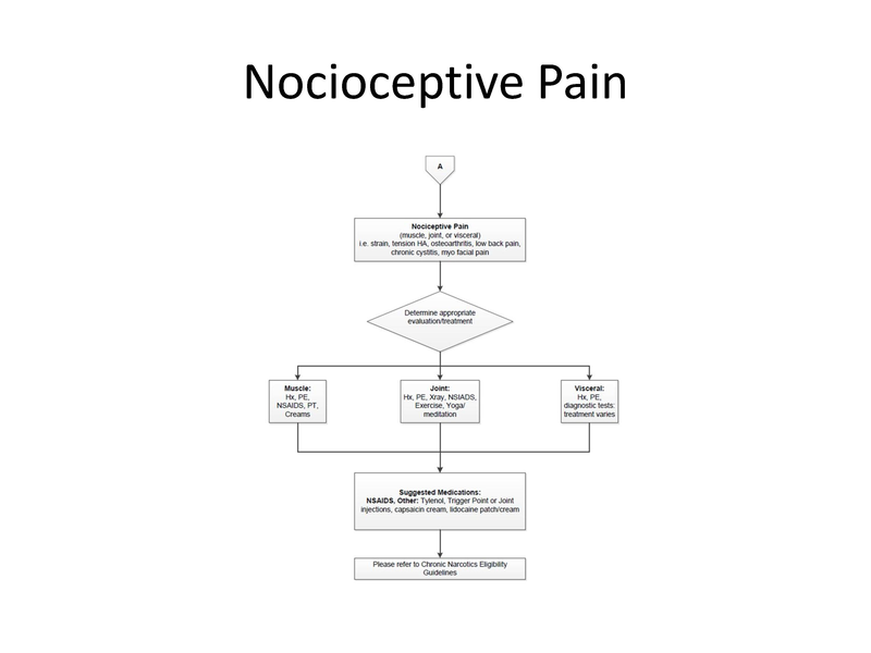 File:Chronic Pain Overview.pdf