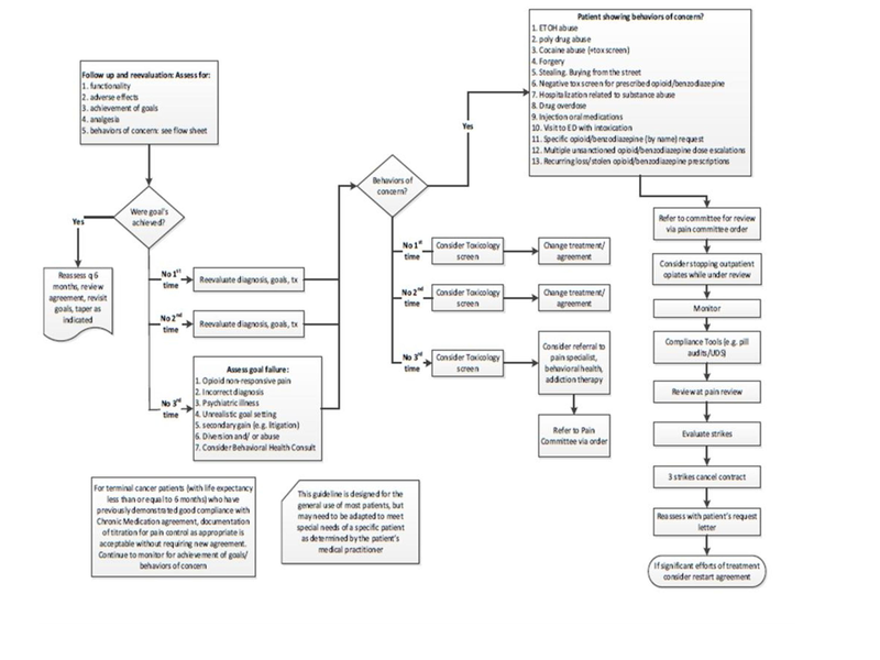File:Chronic Pain Overview.pdf