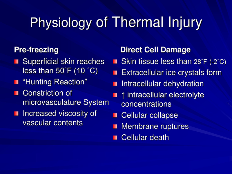 File:Frostbite-Presentation.pdf