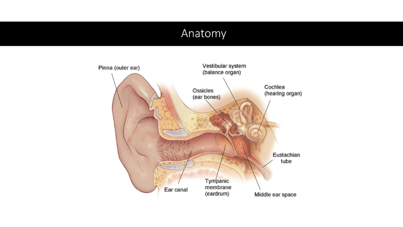 File:Otitis Media -8-13-19.pdf