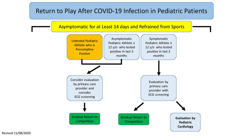 File:Return to Play Algorithm.pdf