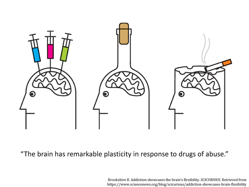 File:Suboxone Presentation.pdf