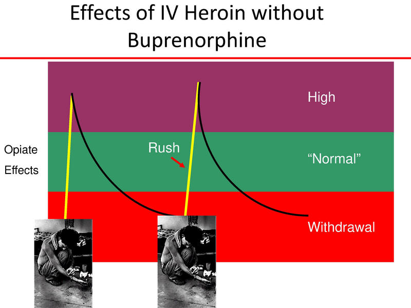 File:Suboxone Presentation.pdf