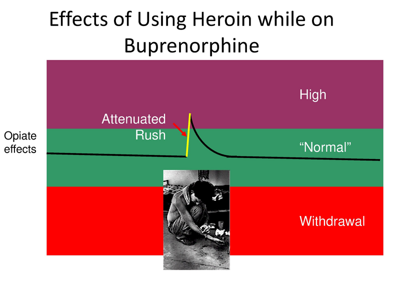 File:Suboxone Presentation.pdf