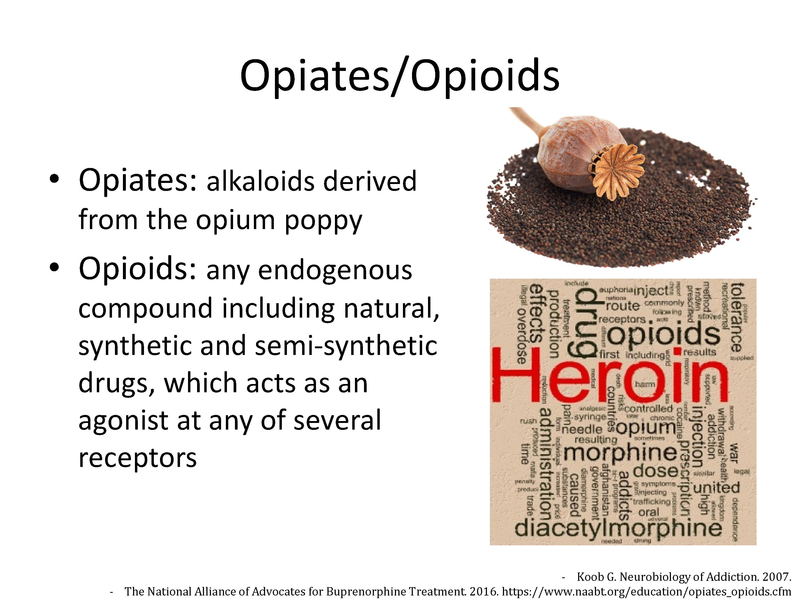 File:Suboxone Presentation.pdf