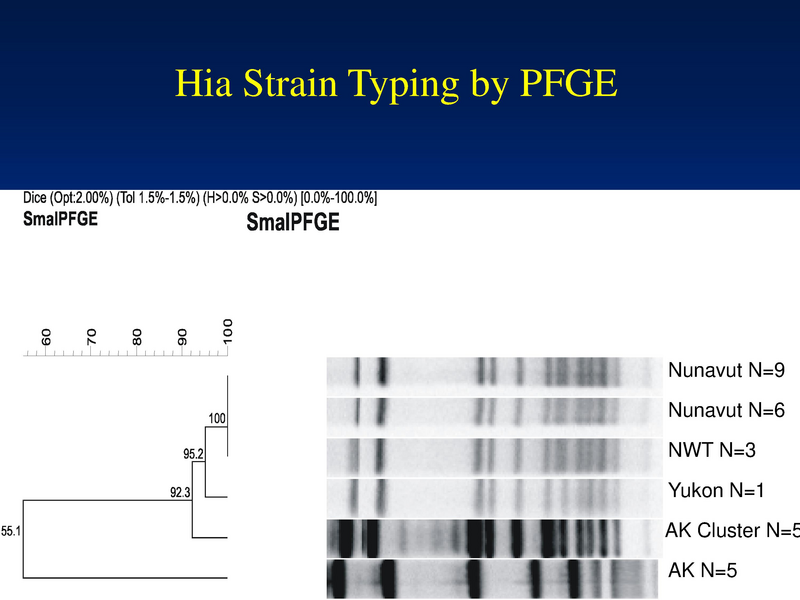 File:Hpylori Update.pdf
