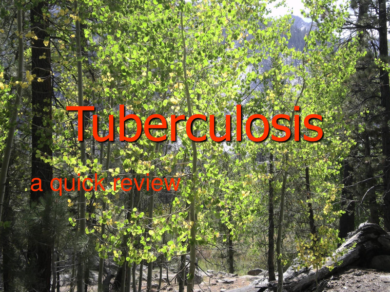 File:Xpert rapid MTB - 5-22-19.pdf