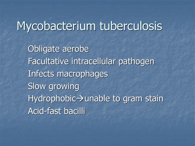 File:Xpert rapid MTB - 5-22-19.pdf