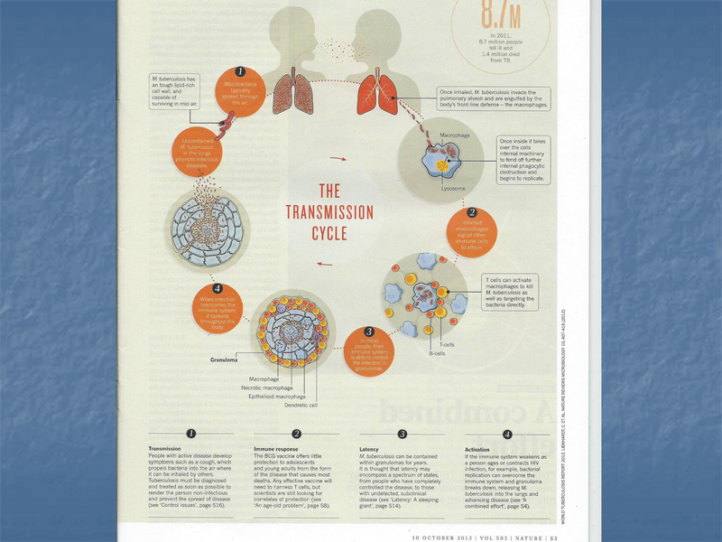 File:Xpert rapid MTB - 5-22-19.pdf